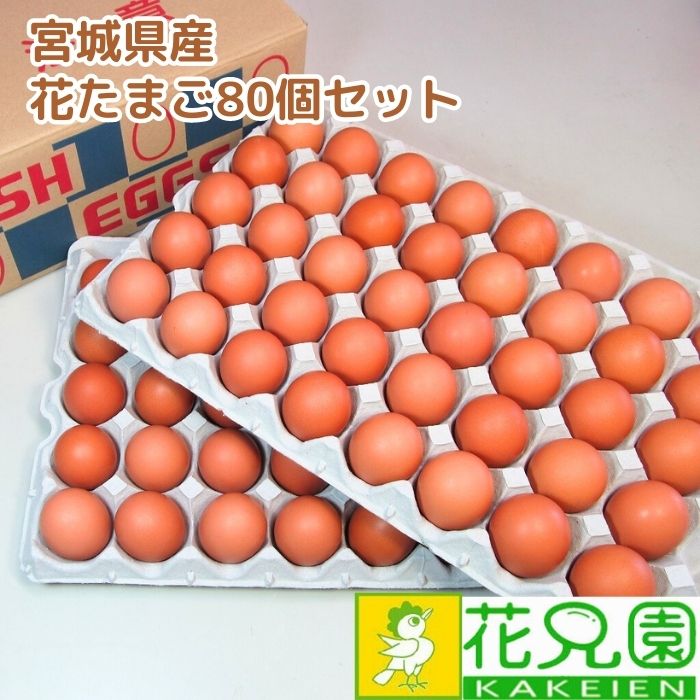 【送料無料】花たまご (80個) 卵 玉子 タマゴ たまご 鶏卵 赤殻 赤がら 新鮮 産みたて 産直 産地直送 生卵 濃厚 採れたて 生みたて 卵かけごはん 卵かけご飯 卵焼き 玉子焼き 養鶏場直送 宮城県産