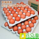 【送料無料】花たまご (50個)×2セット 卵 玉子 タマゴ たまご 鶏卵 赤殻 赤がら 新鮮 産みたて 産直 産地直送 生卵 濃厚 採れたて 生みたて 卵かけ...