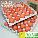 【送料無料】花たまご (50個) 卵 玉子 タマゴ たまご 鶏卵 赤殻 赤がら 新鮮 産みたて 産直 産地直送 生卵 濃厚 採れたて 生みたて 卵かけごはん 卵...