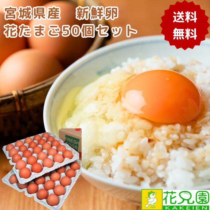 【送料無料】花たまご （50個） 宮城県産 送料無料 新鮮な産地直送卵 卵かけご飯におすすめ 生卵 鶏卵 玉子 たまご　 破損保証 濃厚卵 お取り寄せ 卵かけご飯 kakeien-10000052 卵とプリンの専門店花兄園 パッケージ画像