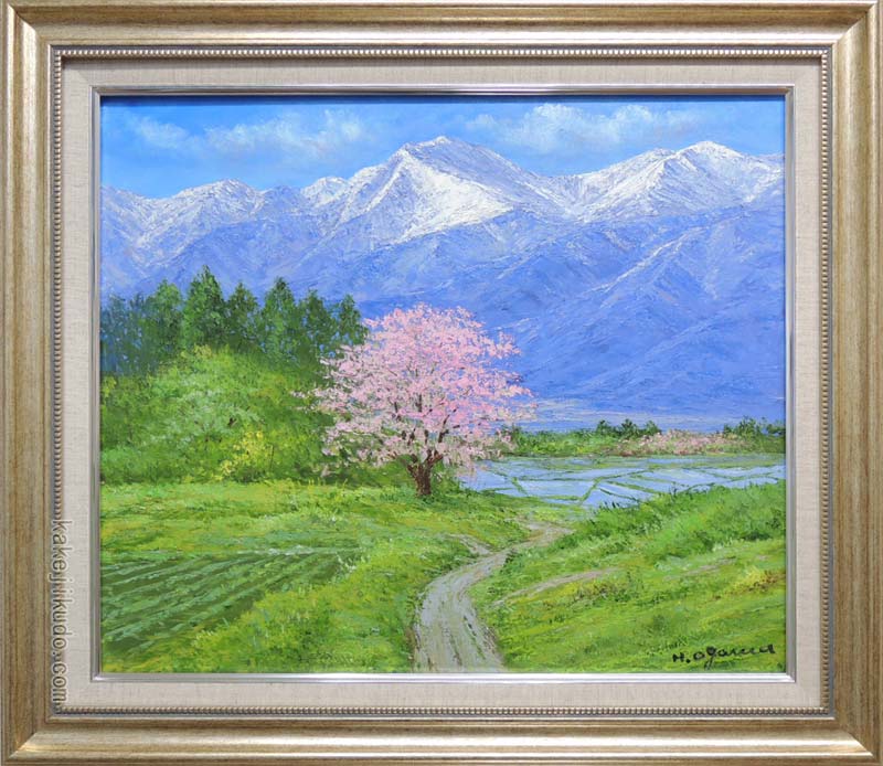 絵画　油絵　常念岳と桜　（小川久雄）　送料無料　【肉筆】【油絵】【桜絵】【海・山】【富士】【10号】