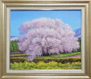 絵画 油絵 一心行の桜 (木村由記夫) 送料無料 【肉筆】【油絵】【桜絵】【日本の風景】【10号】