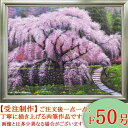 絵画　油絵　又兵衛桜　F50号　（木村由記夫）　送料無料【肉筆】【油絵】【日本の風景】【大型絵画】