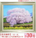 絵画 油絵 一心行の桜 F30号 (木村由記夫) 送料無料 【肉筆】【油絵】【日本の風景】【大型絵画】