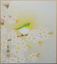 高級色紙「桜に小禽」春穂（色紙絵）送料無料 その1