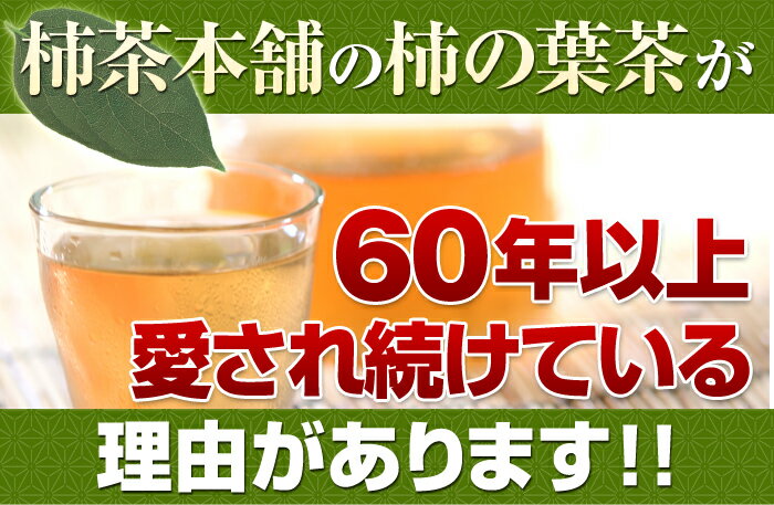 柿茶（柿の葉茶）お試し品 4g×12包 【1L用ティーバッグ】（ノンカフェイン　デカフェ　妊婦　お茶　国産　健康茶　送料無料　無農薬　無添加　ティーパック 西式 有機JAS認定工場）