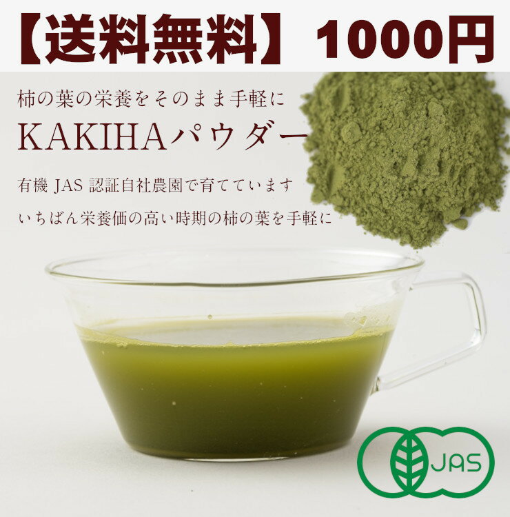 ̵KAKIHAѥʳѥ20