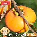 秀品 たねなし柿 2kg 4kg 10kg (M〜L) 和歌山産 高糖度 産地直送 柿 早生 極早生 カキ ギフト 9月上旬以降発送 平核無柿 種無し 種なし ...