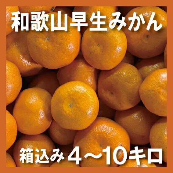 【 スーパーセール 特価！】 みかん 箱込み4kg 10kg 本場和歌山 YN26 温州みかん 産地直送 ミカン 蜜柑 ギフト カキエモン 農園 送料無料