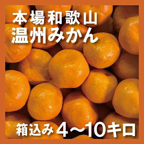 温州みかん 箱込み4kg 10kg 本場和歌山 温州 みかん 産地直送 ミカン 蜜柑 ギフト カキエモン 農園 送料無料