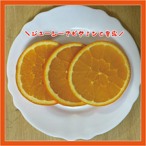 �͡��֥륪��� Ȣ���� 2kg ~ 10kg L������ S������ �ܾ��²λ� ����ľ�� ����� �ߥ��� ̪�� ���ե� £�� ��������� ���� ����̵��