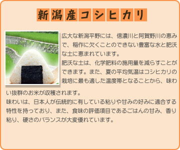 コシヒカリ 30kg 5kg×6袋 当店一流米...の紹介画像3