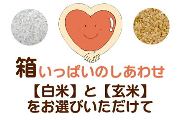 送料無料 広島県産あきさかり 30kg 5kg×6無地袋 特A米令和元年産 1等米