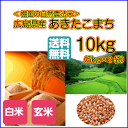 あきたこまち 10kg 玄米 5kg×2青袋 送料無料広島県産あきたこまち 10kg 棚田の自然農法米 広島あきたこまち 10kg 令和5年産 1等米 2