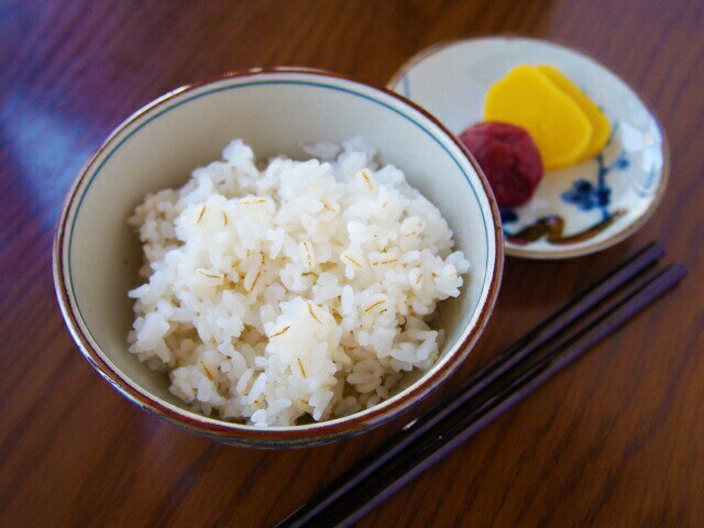 コシヒカリ 2kg の麦ごはん 送料無料広島県産コシヒカリ 