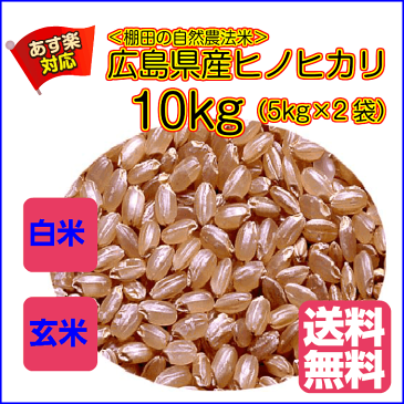 送料無料広島県産ヒノヒカリ 10kg 玄米 5kg×2青袋 特A米 令和元年産