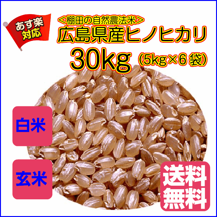 ポイント10倍 送料無料 広島県産ヒノヒカリ 30kg 5kg×6青袋令和2年産産1等米