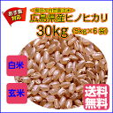 ヒノヒカリ 30kg 5kg×6無地袋 送料無料 広島県産ヒノヒカリ 30kg 棚田の自然農法米 広島ヒノヒカリ 30kg 令和5年産 1等米 2