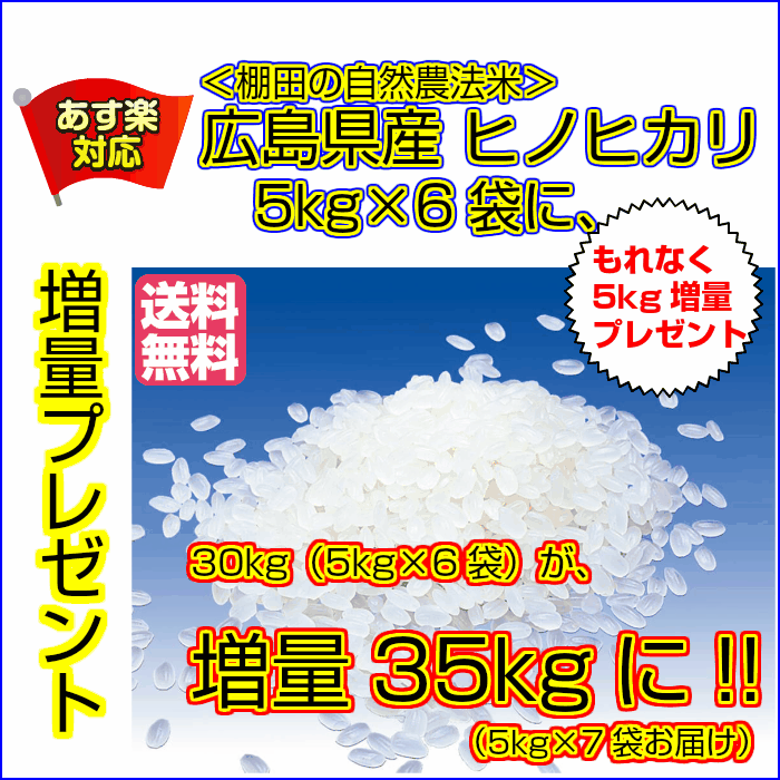 ヒノヒカリ 30kg 玄米 ゴールド袋 送料無...の紹介画像2