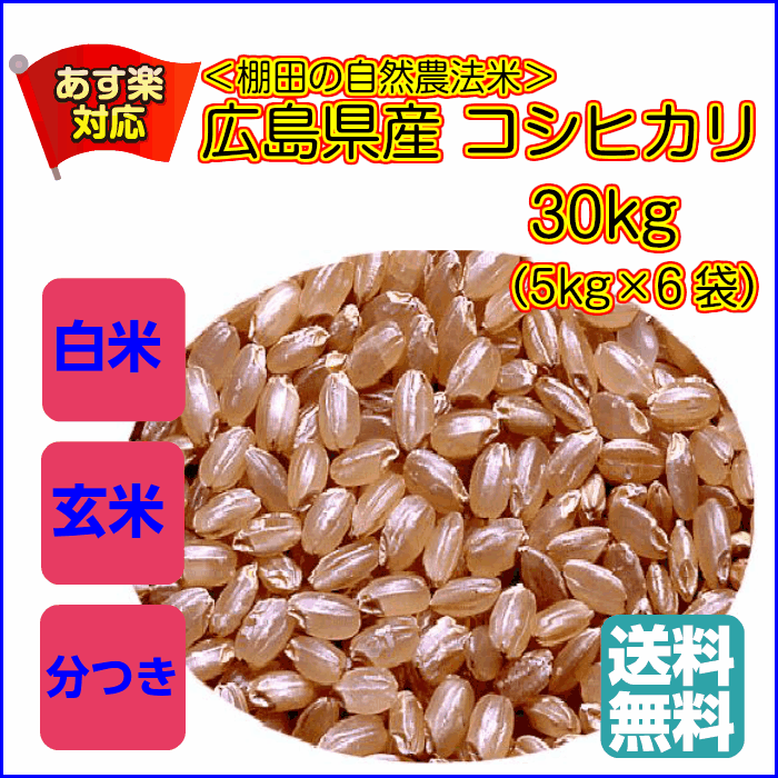 【単品】尾西食品 アルファ米 スタンドパック えびピラフ 防災 防災グッズ 防災用品 備蓄品 非常食 携帯食 長期保存 保存食