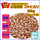 コシヒカリ 30kg 5kg×6無地袋 送料無料広島県産コシヒカリ 30kg 棚田の自然農法米 広島コシヒカリ 30kg 令和5年産 1等米 2