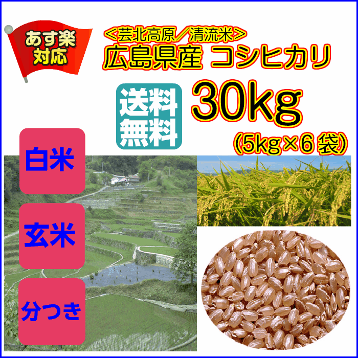 コシヒカリ 30kg 玄米 5kg×6布野高原清流米 送料無料広島県産コシヒカリ30kg 棚田の自然農法米 広島コシヒカリ30kg 令和6年産 1等米