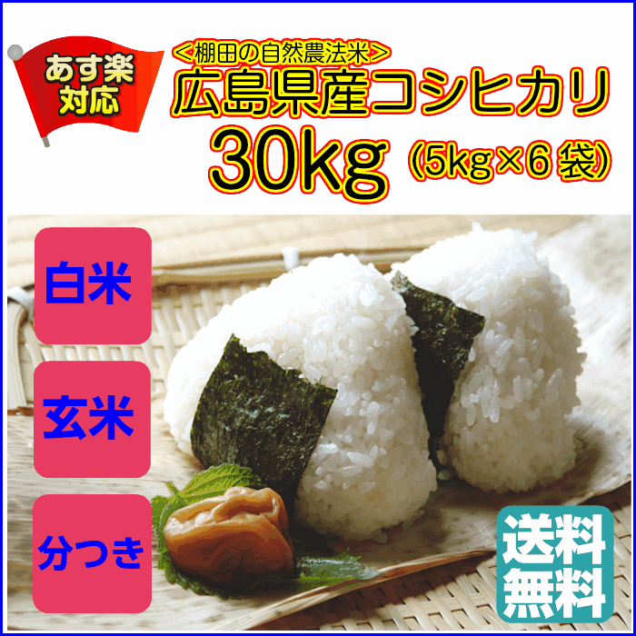 コシヒカリ 30kg 特別栽培米 5kg×6 金の袋 送料無料広島県産コシヒカリ30kg 特別栽培米 広島コシヒカリ30kg 令和5年産 1等米 2