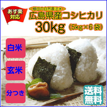 送料無料 広島県産コシヒカリ 30kg 玄米 5kg×6金の袋令和元年産 1等米