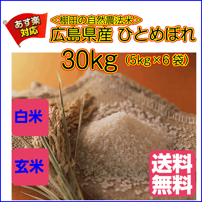 ひとめぼれ 30kg 玄米 5kg×6無地袋 送料無料広島県産ひとめぼれ 30kg 棚田の自然農法米 広島ひとめぼれ 30kg 令和5年産 2