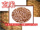 【送料無料】魚沼産コシヒカリ 30キロ(30kg)特A米/玄米農産物検査 1等米【23年産】新潟県魚沼産の中の魚沼産こしひかり【smtb-kd】【米 お米】【23年1等米】魚沼産コシヒカリ 30キロ(30kg)特A米/玄米【送料無料】農産物検査 1等米【2sp_120314_b】【10P19Mar12】