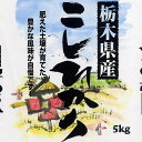 【ポイント10倍】【20年産】栃木県産コシヒカリ 5キロ (食協)【税込み】【10P20Feb09】