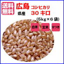 送料無料広島県産コシヒカリ 30kg 玄米 5kg×6赤袋 令和 3年産1等米