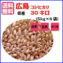 コシヒカリ 30kg 玄米 5kg×6無地袋 送料無料広島県産コシヒカリ 30kg 棚田の自然農法米広島コシヒカリ 30kg 令和5年産 1等米 2