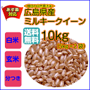 ミルキークイーン 10kg 5kg×2 無地袋 送料無料広島県産ミルキークイーン10kg 棚田の自然農法米 広島ミルキークイーン10kg 令和5年産 2