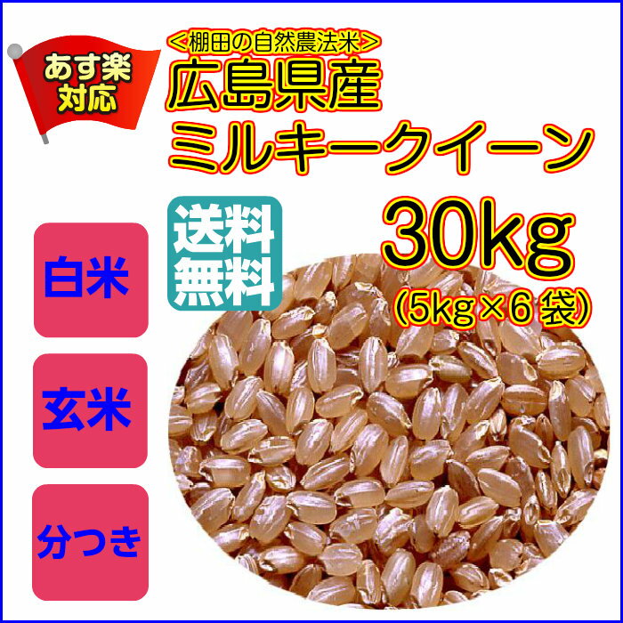 ミルキークイーン 30kg 送料無料 5kg×6 玄米 ブルー袋広島県産 棚田の自然農法米 令和3年産1等米