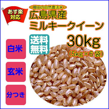 送料無料 広島県産ミルキークイーン 30kg 5kg×6金袋令和元年産 1等米