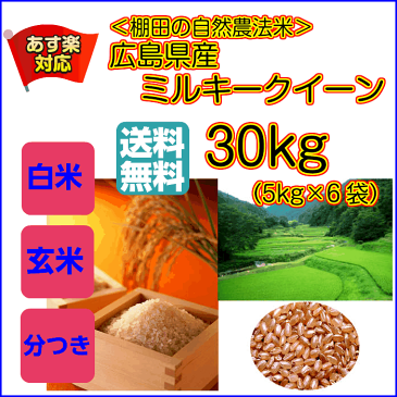 送料無料 広島県産ミルキークイーン30kg 玄米 5kg×6当店一流米ゴールド袋令和元年産 1等米