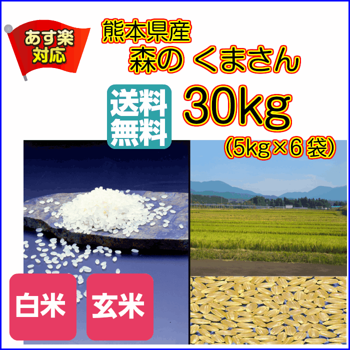 送料無料 熊本県産森のくまさん 30kg 5kg×6ゴールド袋特A米 30年産1等米