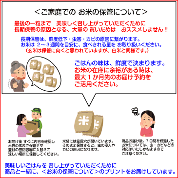 送料無料 新潟県産コシヒカリ 300g 2合 特A米 30年産1等米 お試し