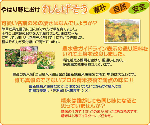 コシヒカリ 10kg 特別栽培米 5kg×2秘蔵米 送料無料広島県産コシヒカリ10kg 特別栽培米 広島コシヒカリ10kg 令和5年産 1等米 3