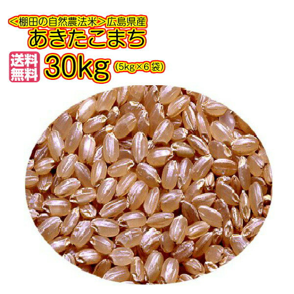 あきたこまち 30kg 5kg×6無地袋 送料無料広島県産あきたこまち 30kg 令和 3年産 新米 1等米