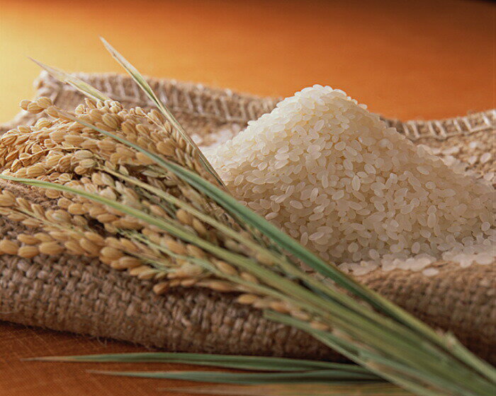 コシヒカリ 5kg 特別栽培米 黄金袋 お買上げで 1kgプ