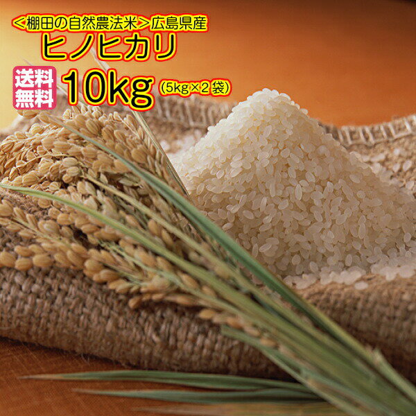 送料無料 広島県産ヒノヒカリ 10kg 5kg×2 特A米無地袋令和2年産...