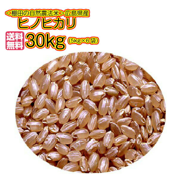 ҥΥҥ 30kg  5kg6̵ ̵縩ҥΥҥ 30kg êĤμfˡ ҥΥҥ 30kg 15ǯ...