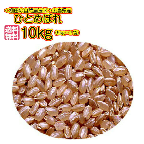 送料無料 広島県産ひとめぼれ 10kg 玄米 5kg×2青袋 令和5年産 1等米