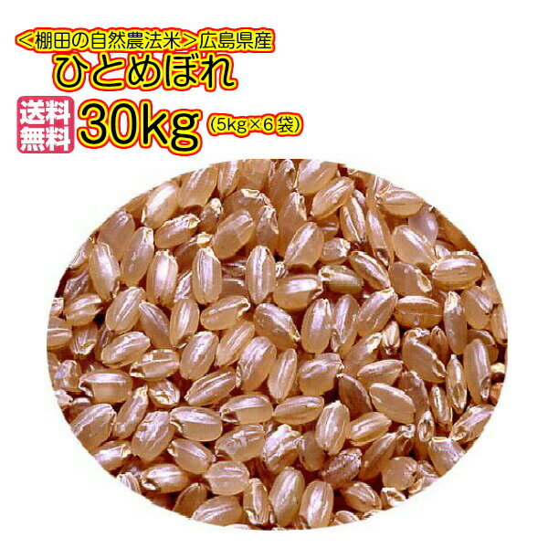 送料無料 広島県産ひとめぼれ 30kg 玄米 5kg×6無地袋30年産1等米