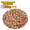 送料無料 広島県産ひとめぼれ 30kg 玄米 5kg×6緑袋令和3年産 新米 1等米