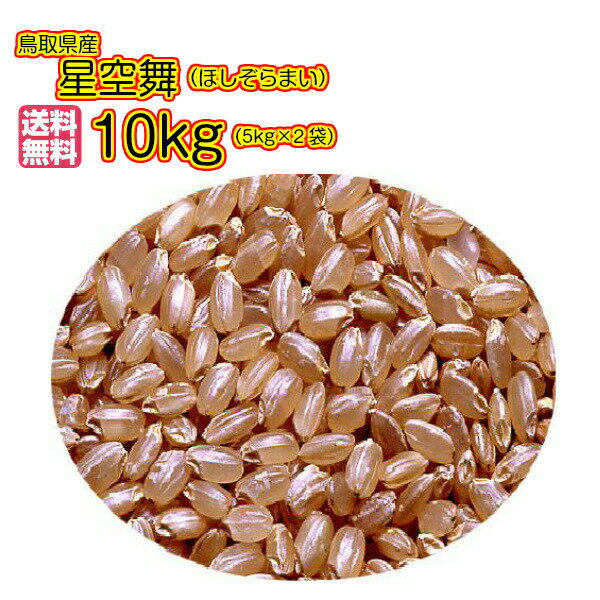 星空舞 10kg 玄米 5kg×2