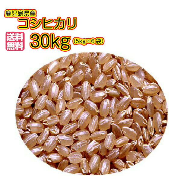 送料無料 ＜新米予約＞ 鹿児島県産コシヒカリ 30kg 5kg×6緑袋30年産1等米...