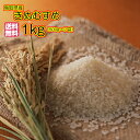 送料無料 鳥取県産きぬむすめ 1kg 500g×2袋 特A米令和元年産 1等米